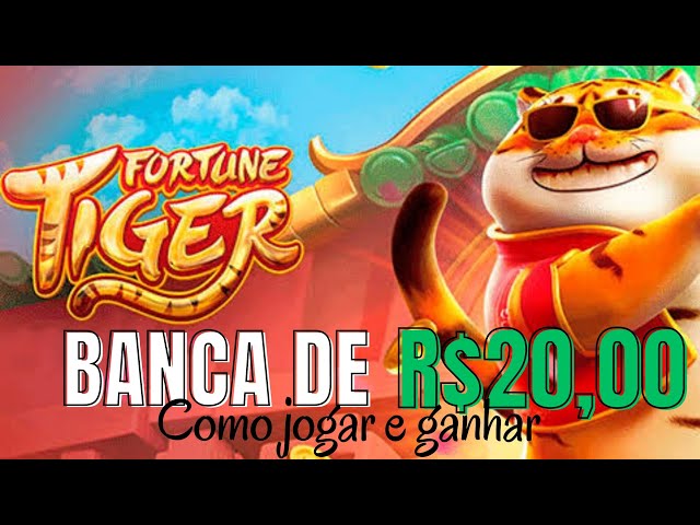 esportenet vip com br imagem de tela 2